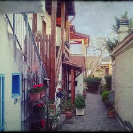 Barcola Holidays *