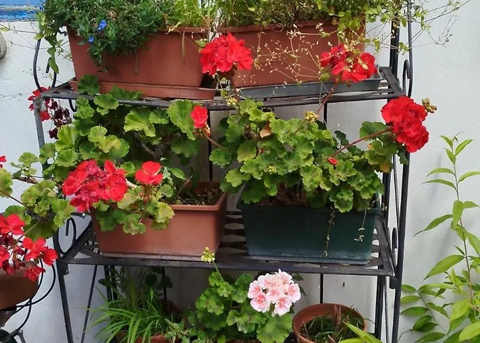 Barcola Holidays Casa Vacanze * Триест